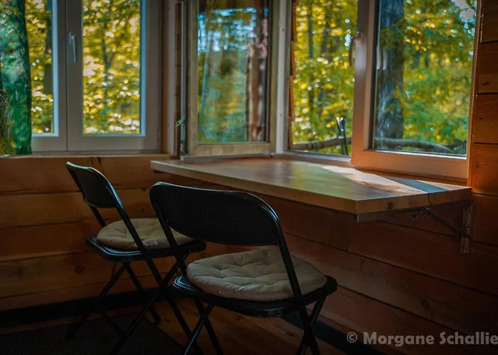 La Cabane Aux Ecureuils