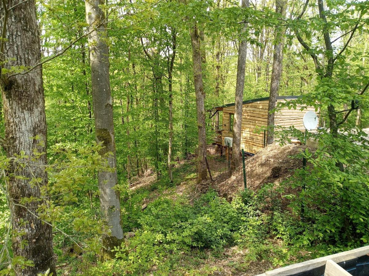 La Aux Ecureuils Chalet *