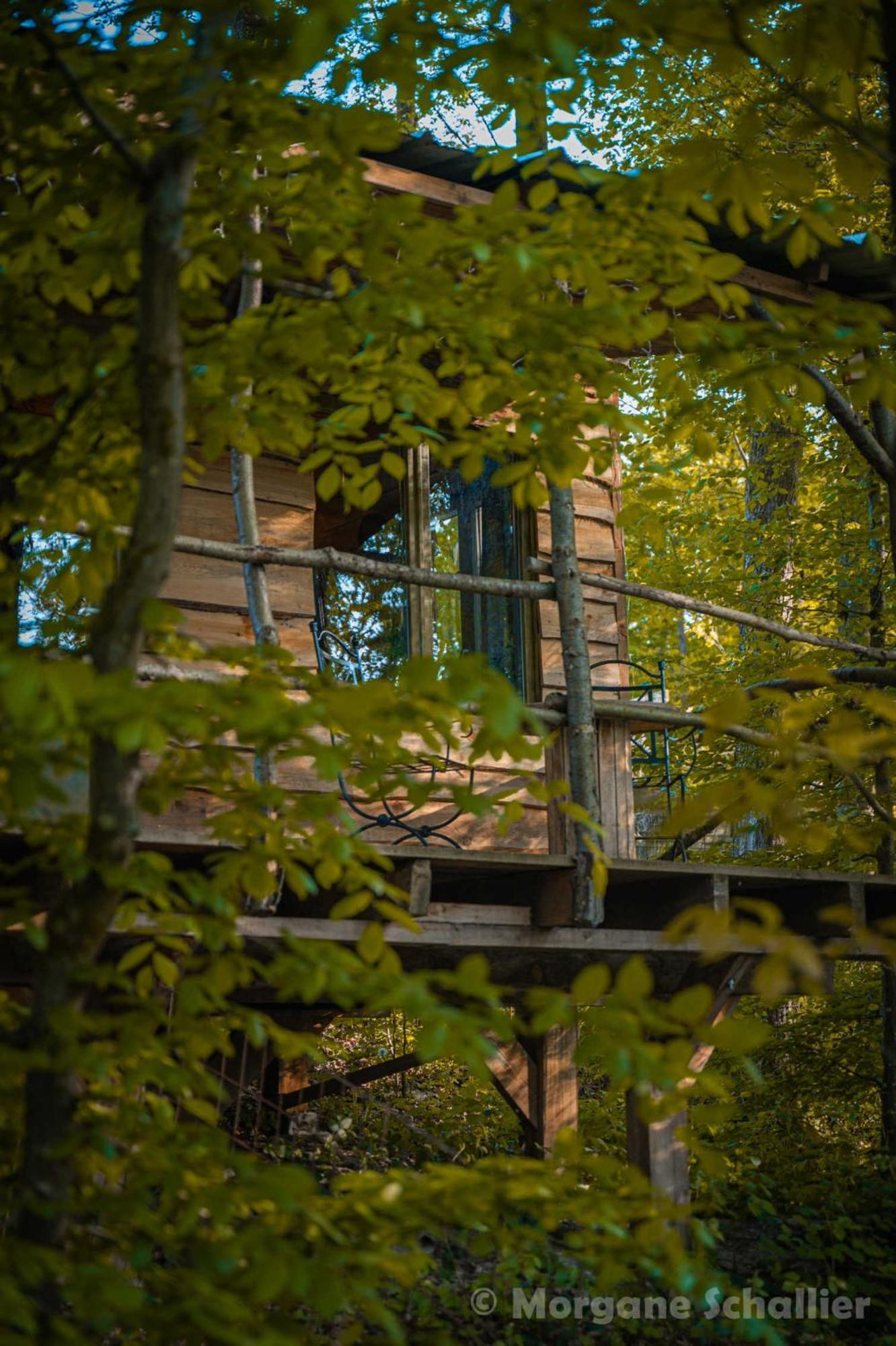 Chalet La Aux Ecureuils Philippeville